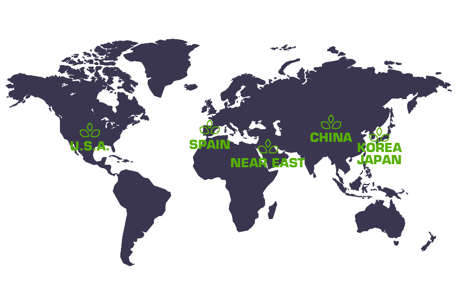 A world map where we represent the markets in which LIXONÉ is present